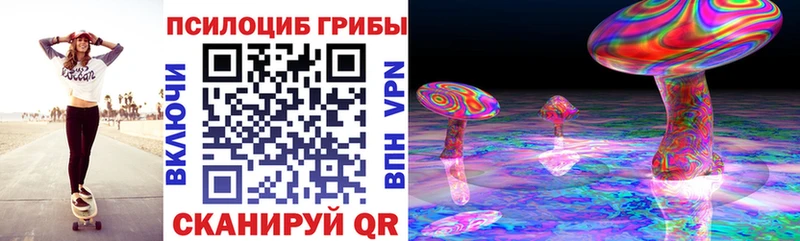 Галлюциногенные грибы GOLDEN TEACHER  hydra ссылка  Железногорск-Илимский  продажа наркотиков 