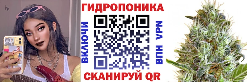 Каннабис план  Железногорск-Илимский 